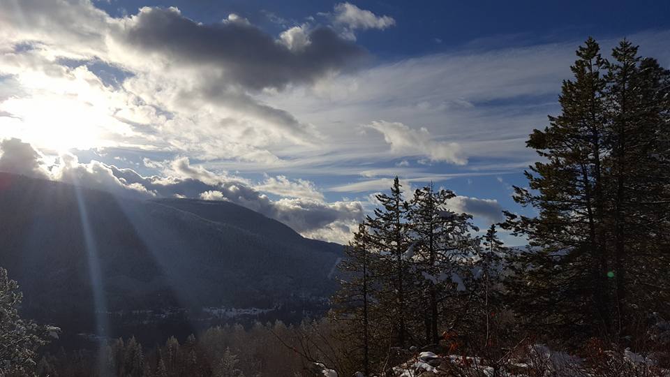 24232707_10156819936160830_7621706587582685583_n