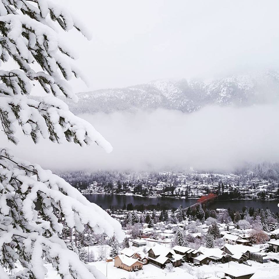 26993456_10156999258115830_1462673318978304015_n